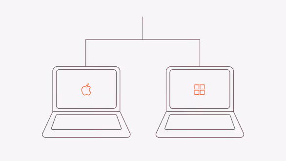 Cross-platform consistency